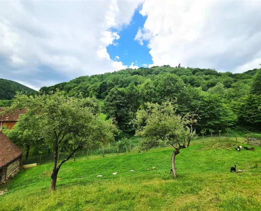 Casă 4 cam Fantanele, 141 mp