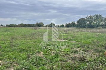 Teren 812 mp, PUZ aprobat P+2, Giroc anunturi imobiliare Timis