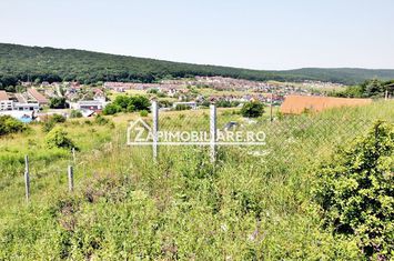 Teren 5.000 mp Corunca in spate la Dacia 40 euro mp anunturi imobiliare Mures