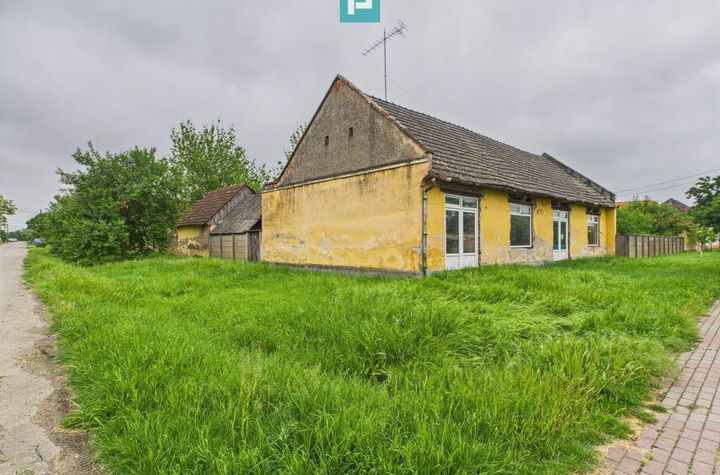Casă de reabilitat pe teren generos- Comuna Variaș anunturi imobiliare Timis