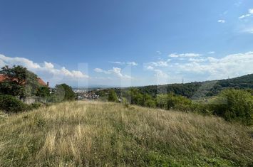 Teren de vanzare DEVA - Hunedoara anunturi imobiliare Hunedoara
