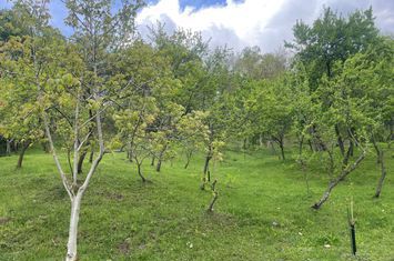 Mihaesti - Sat Draghici, teren intravilan, cu o suprafață generoasă de 7.280 mp anunturi imobiliare Arges