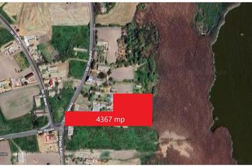 Teren intravilan 4367 mp – Salcioara – deschidere la lac anunturi imobiliare Tulcea