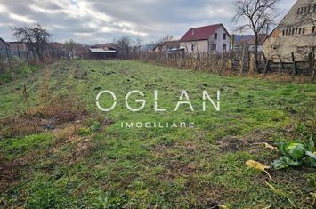 Casă - 3 camere de vanzare SEICA MARE - Sibiu anunturi imobiliare Sibiu