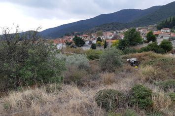 Teren 1108 mp în Mirtofito, Kavala anunturi imobiliare Grecia