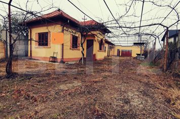 Teren de vanzare CERNELE - Dolj anunturi imobiliare Dolj