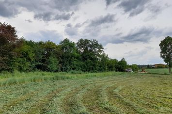 Izvorani Ciolpani  588mp, zona de vile noi in apropierea padurii anunturi imobiliare Bucuresti