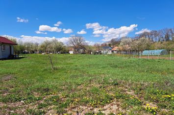 Comision 0% ! Teren intravilan ideal pentru construire casa in Rediu anunturi imobiliare Cluj