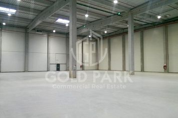 Depozit/Hala-In Park Industrial- Zona Someseni-2900 mp anunturi imobiliare Cluj