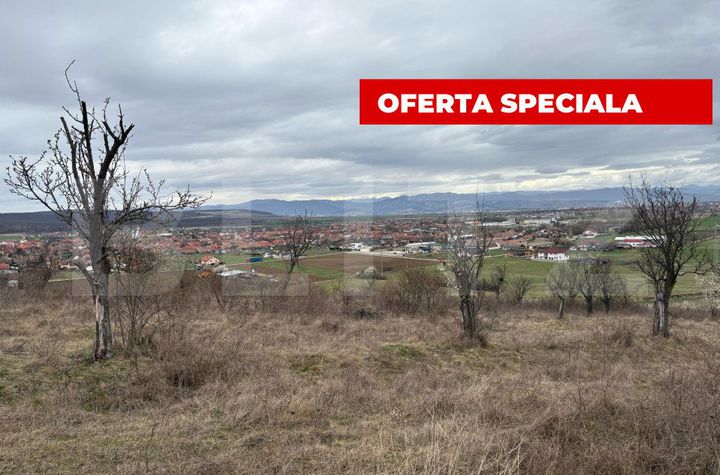 Teren de vanzare PETRESTI - Alba anunturi imobiliare Alba
