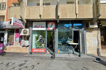 Spațiu comercial de inchiriat IASI - Iasi anunturi imobiliare Iasi