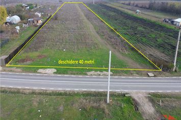 Teren Intravilan de vanzare EXTERIOR VEST - Vrancea anunturi imobiliare Vrancea