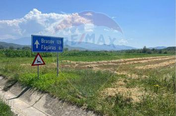 Teren pentru Dezvoltare 14.800 mp -Vestem anunturi imobiliare Sibiu