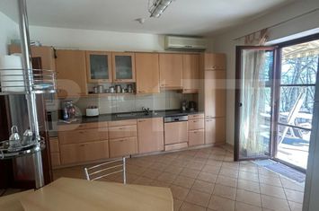 Vilă - 6 camere de vanzare REMETEA MARE - Timis anunturi imobiliare Timis