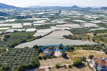 Teren agricol 500 mp în Eleftheres anunturi imobiliare Grecia