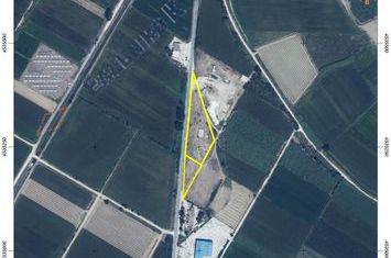 Teren construibil 10.298 mp lângă Chrysoupolis anunturi imobiliare Grecia