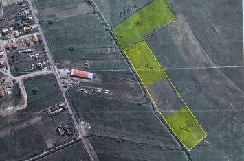 Teren intravilan 18.600 mp.cu deschidere de 250 m la drum anunturi imobiliare Mures