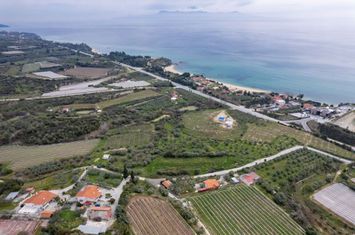 Teren construibil 8.076 mp în Paralia Elaiochoriou anunturi imobiliare Grecia