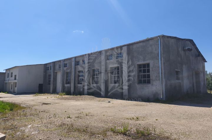 HALA + BIRORI//960 MP//ZONA BEREASCA anunturi imobiliare Prahova