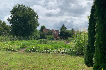 Teren Intravilan de vanzare SANTANA DE MURES - Mures anunturi imobiliare Mures