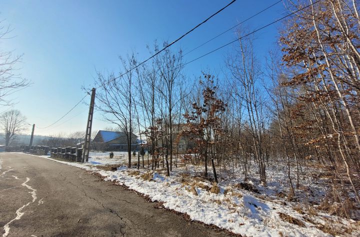 Teren de vanzare SCOARTA - Gorj anunturi imobiliare Gorj