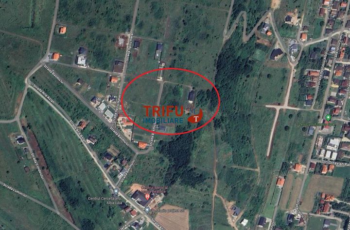 Teren Intravilan de vanzare CETATE - Alba anunturi imobiliare Alba