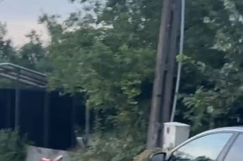 Ciolpani teren intravila 2500 mp de vanzare anunturi imobiliare Bucuresti