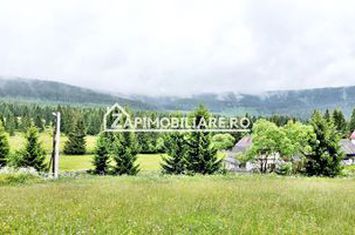 Pensiune 25 camere,1 restaurant,1 sala sedinte 2.000mp teren anunturi imobiliare Mures
