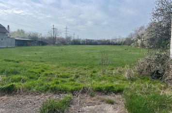 Teren intravilan 8500 mp in Iosia, Oradea anunturi imobiliare Bihor