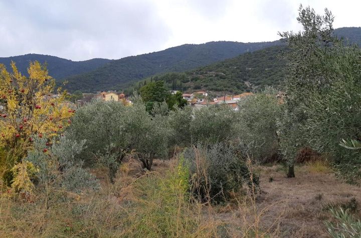 Teren 1108 mp în Mirtofito, Kavala anunturi imobiliare Grecia