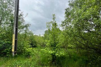 Teren de vanzare HORODNIC - Suceava anunturi imobiliare Suceava