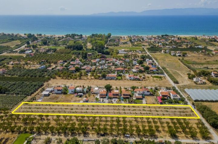 Teren 4972 mp, Paralia Orfaniou, 700 m de mare anunturi imobiliare Grecia