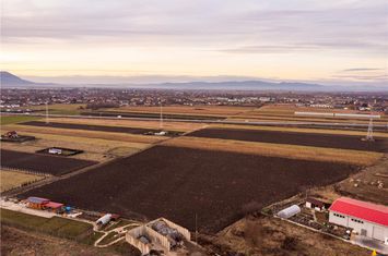 Teren Intravilan de vanzare STUPINI - Brasov anunturi imobiliare Brasov