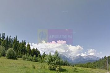 Teren de vanzare la Azuga la Partia Cazacu anunturi imobiliare Prahova