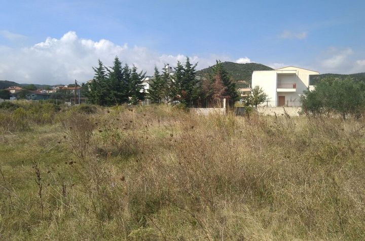 Teren construibil 747,18 mp în Agios Andreas anunturi imobiliare Grecia