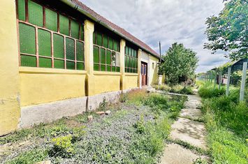 Casă - 5 camere de vanzare BECICHERECU MIC - Timis anunturi imobiliare Timis