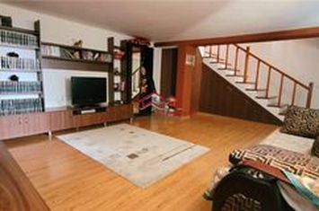 Vilă - 5 camere de vanzare COPACELU - Valcea anunturi imobiliare Valcea