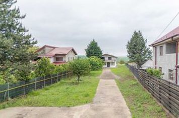 Vilă in Valea Ursului Miroslava, Teren generos de 1495mp anunturi imobiliare Iasi