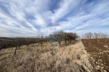 Teren intravilan Bădeni, central anunturi imobiliare Cluj