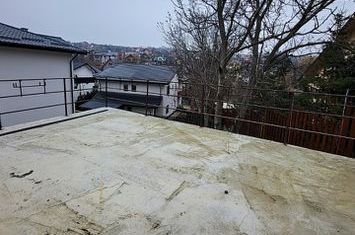 Vilă - 4 camere de vanzare BARNOVA - Iasi anunturi imobiliare Iasi