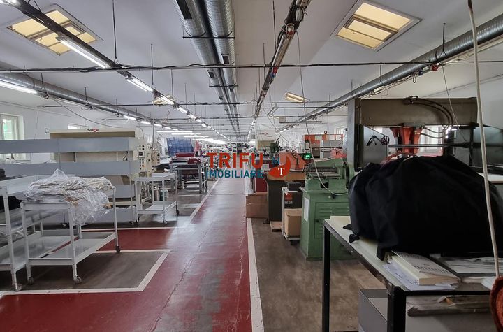 Spațiu industrial de inchiriat SEBES - Alba anunturi imobiliare Alba