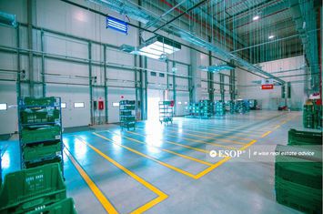 Spațiu industrial de inchiriat CHITILA - Bucuresti anunturi imobiliare Bucuresti