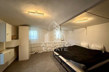 Apartament renovat cu o camera si curte, 2 bai, 50 mp, Piata Romanilor anunturi imobiliare Timis