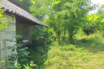 Butimanu Teren Intravilan Utilitati OFERTA anunturi imobiliare Dambovita