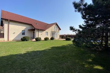 Vila cu piscina | gradina 600 mp | zona Iancu Nicolae | anunturi imobiliare Bucuresti