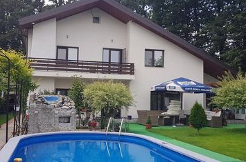 Afumati vila 8 camere , teren 1300 mp , piscina anunturi imobiliare Bucuresti