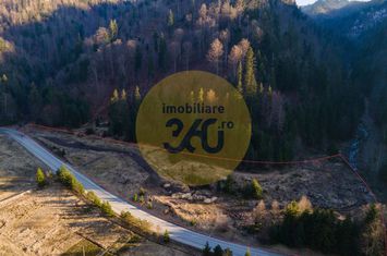 Teren de vanzare COLIBITA - Bistrita-Nasaud anunturi imobiliare Bistrita-Nasaud