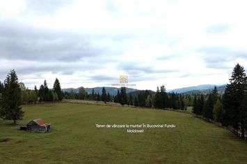 Teren Intravilan de vanzare FUNDU MOLDOVEI - Suceava anunturi imobiliare Suceava