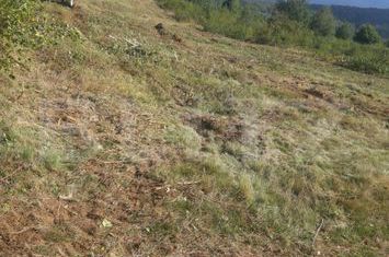 Teren de vanzare CARTISOARA - Sibiu anunturi imobiliare Sibiu