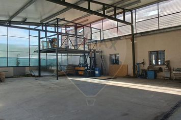 Hala de inchiriat anunturi imobiliare Sibiu